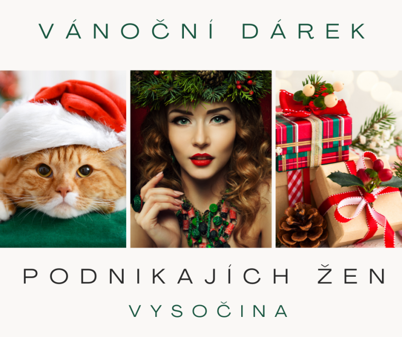 Grafika - Vánoční dárek